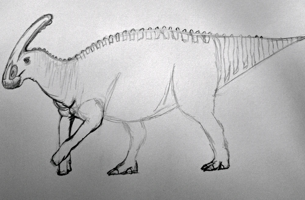 Image uploaded by Edo