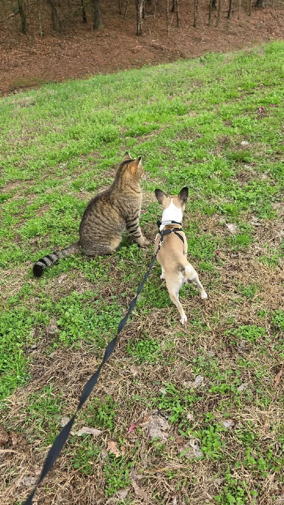 GIF uploaded by gabriella