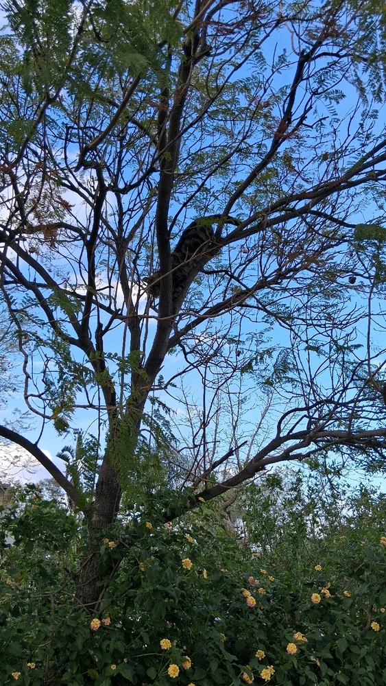 GIF uploaded by Crissy