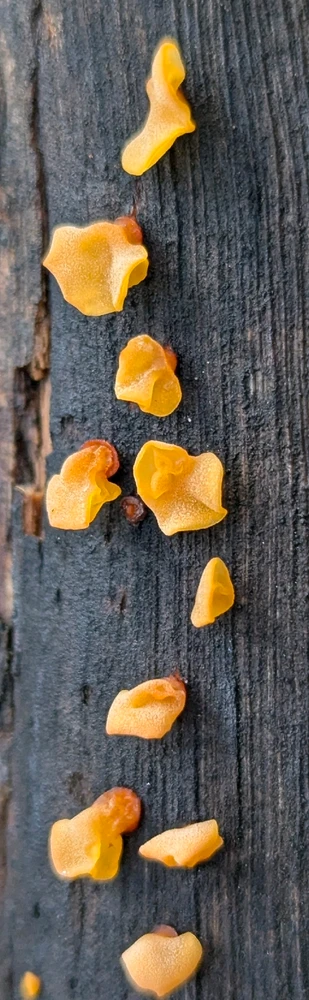 GIF uploaded by Chris