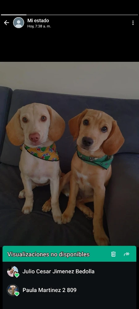 Imagen subida por Daniel