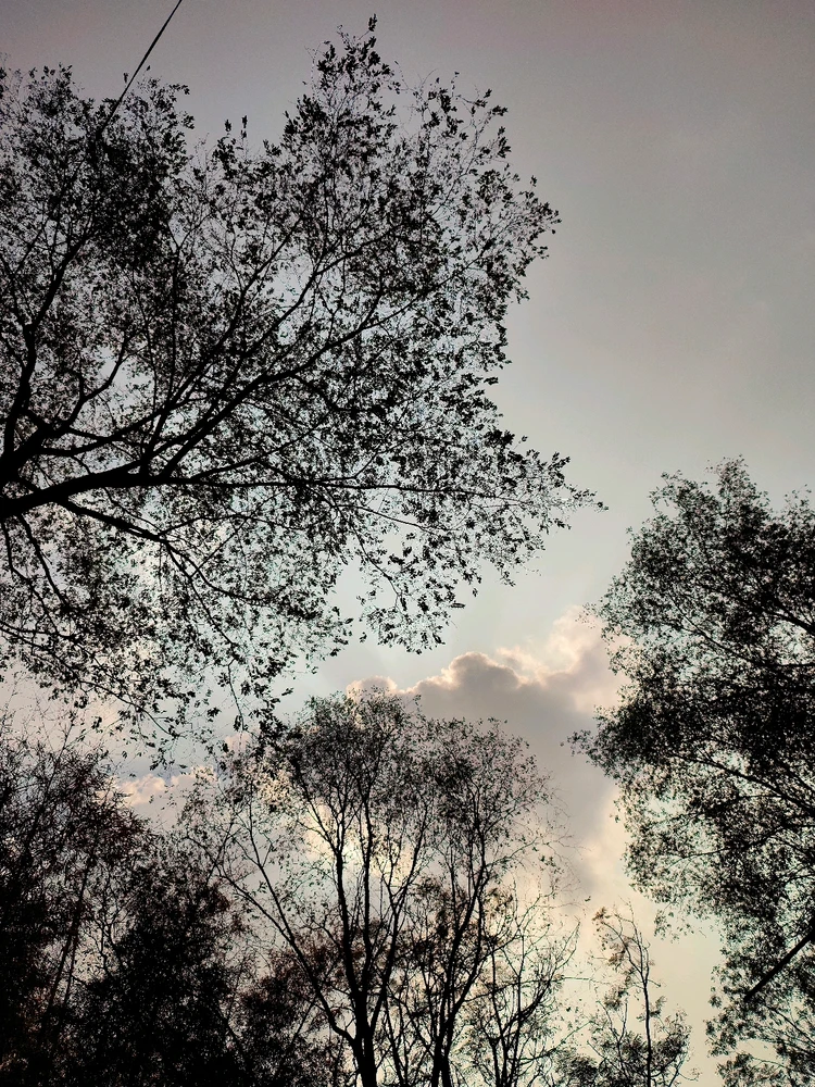 GIF uploaded by Dhanz