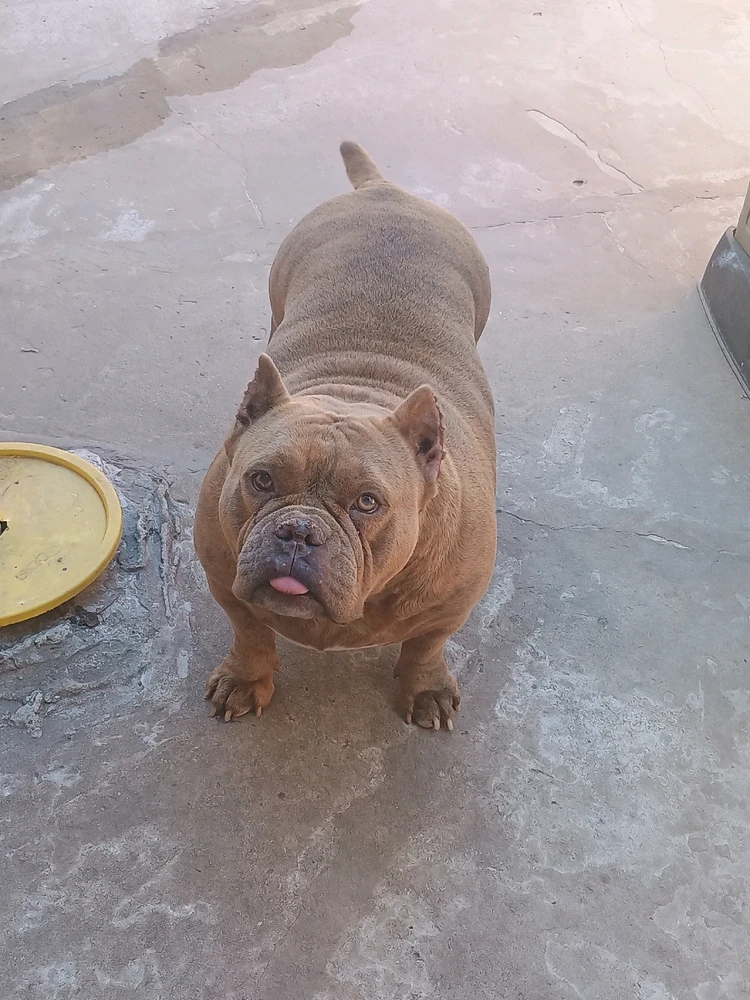 GIF subido por Anoon