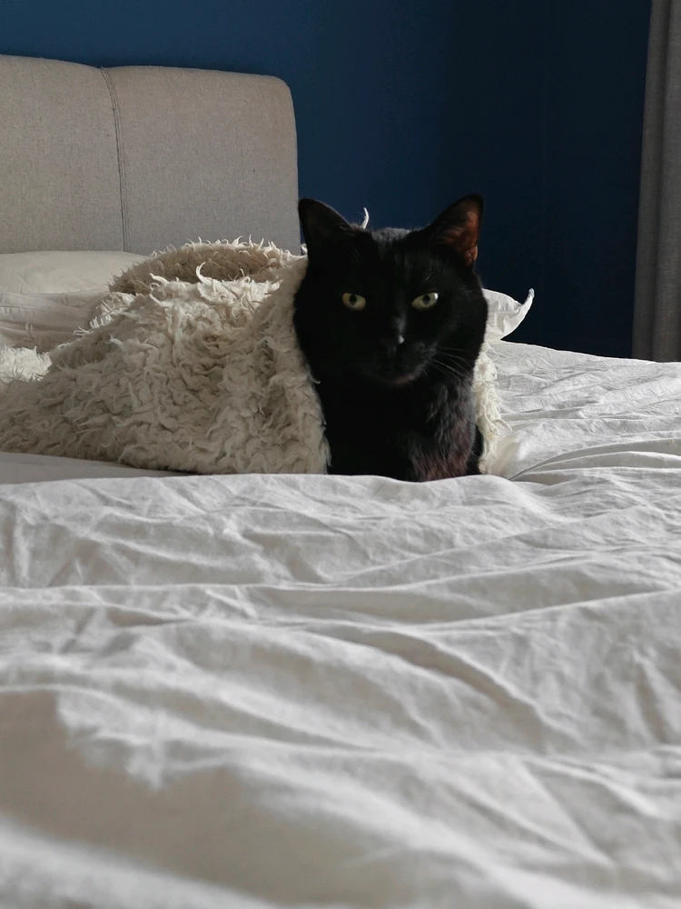 GIF uploaded by Caro