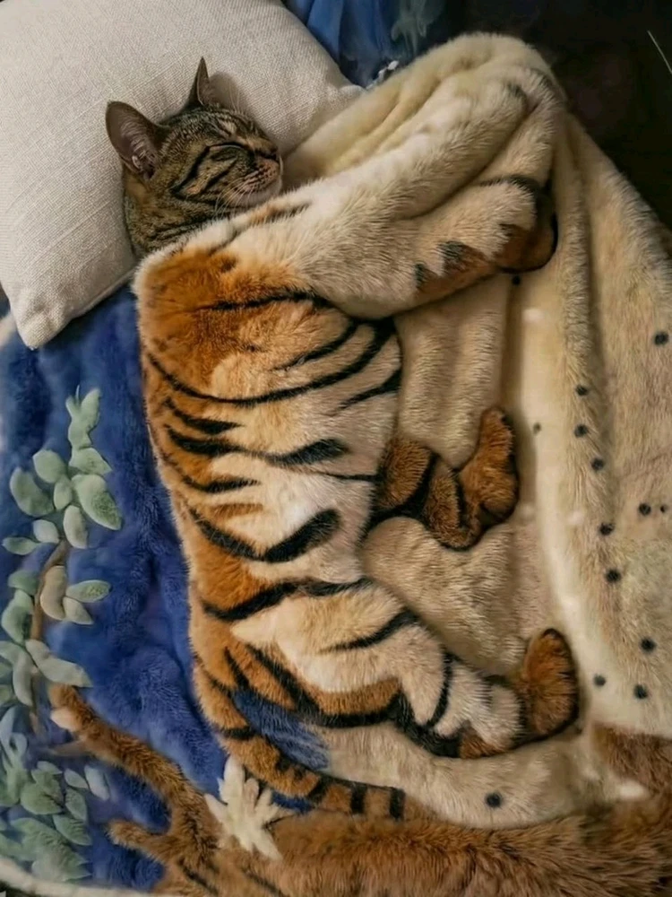 GIF uploaded by Andrey