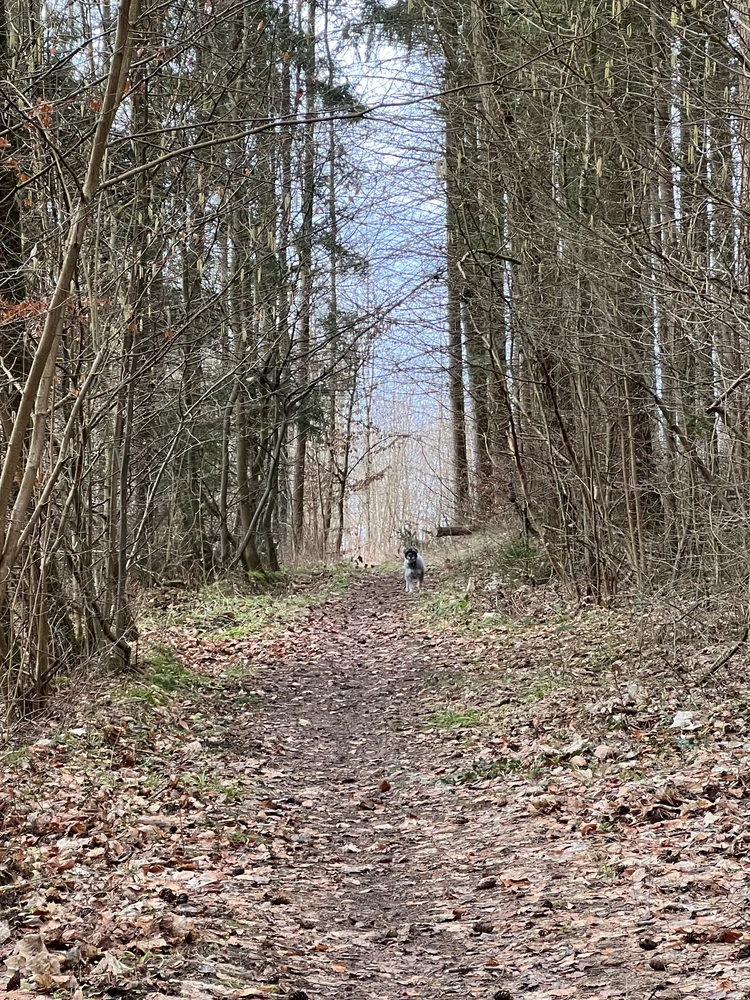 GIF hochgeladen von Leonie