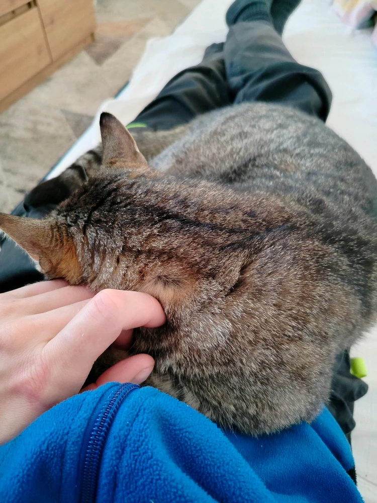 GIF dodany przez Artur