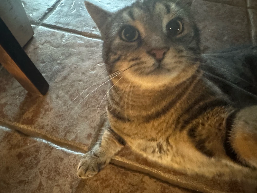 GIF uploaded by Matthew