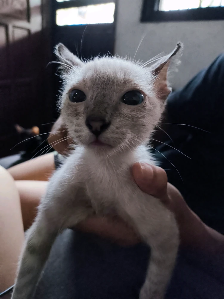 GIF uploaded by Lance