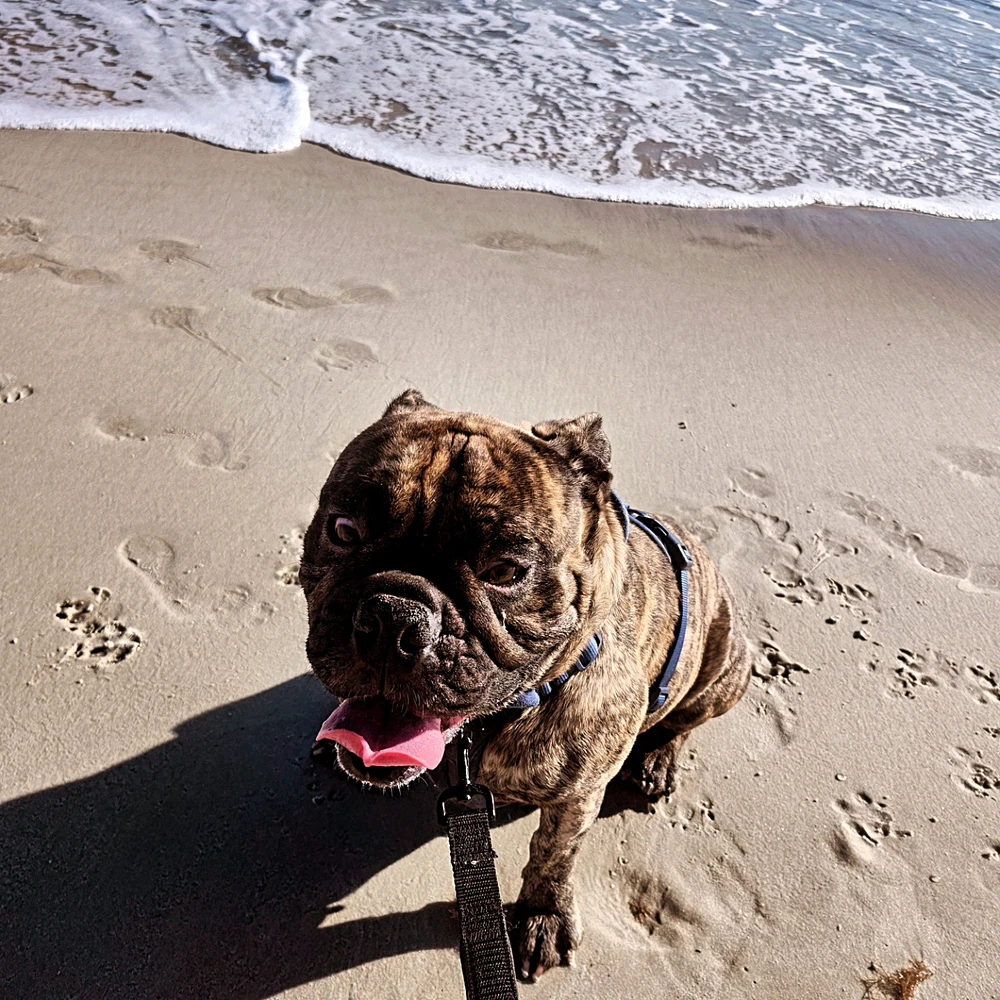 Image uploaded by Pat