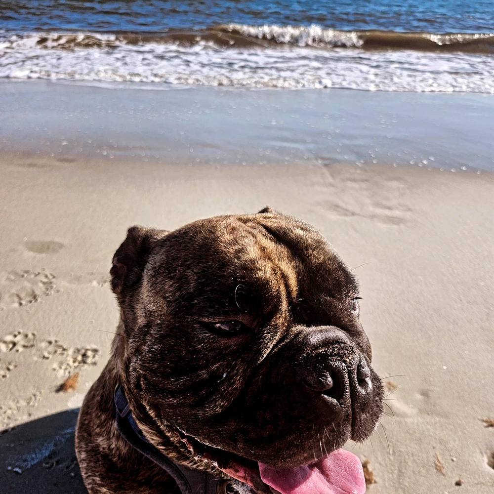 Image uploaded by Pat