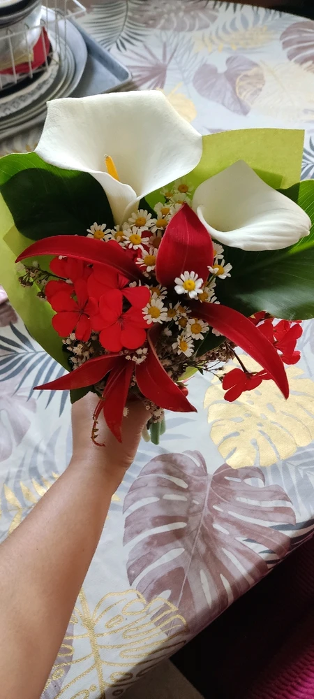 Imagen subida por Vale