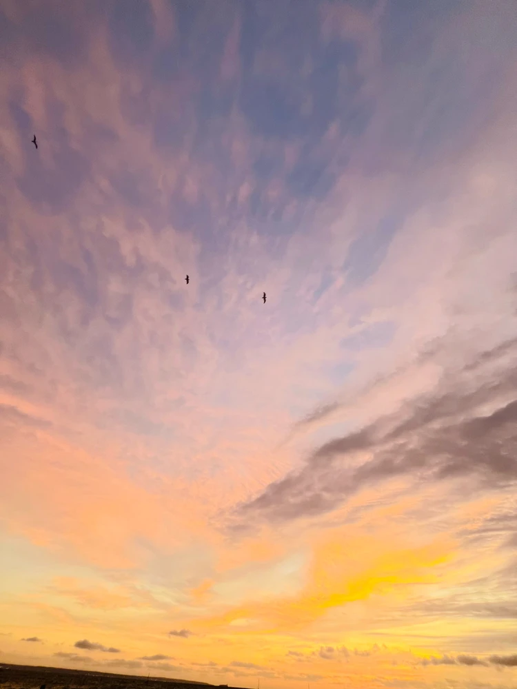 Imagen subida por Candy