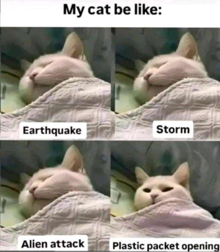 GIF uploaded by 𝑨𝒏𝒆𝒆𝒍..