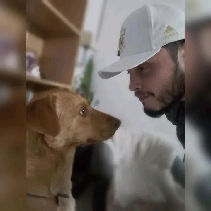 Imagen subida por Miguel