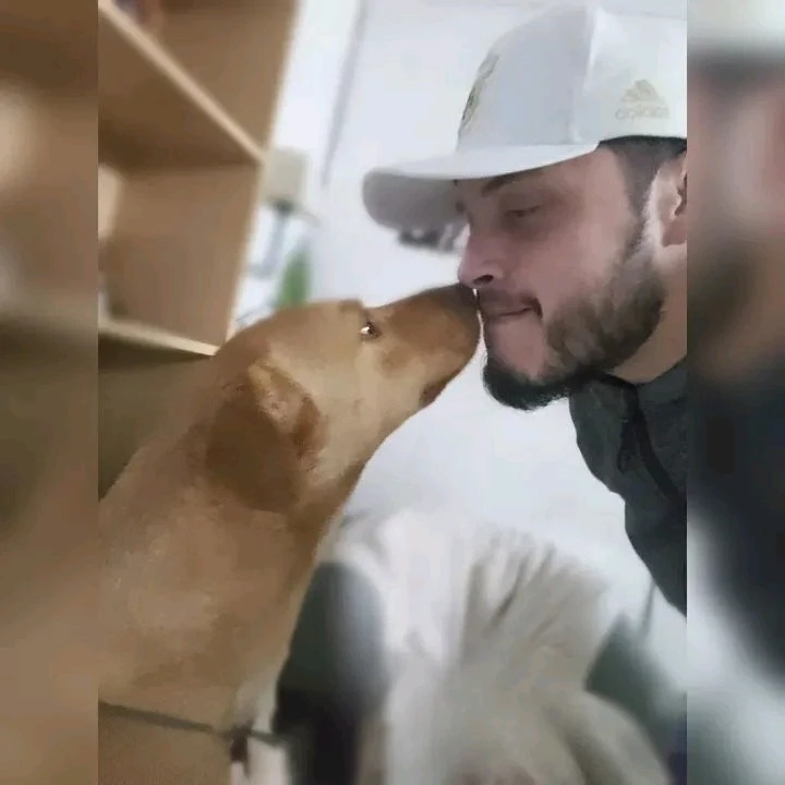 Imagen subida por Miguel