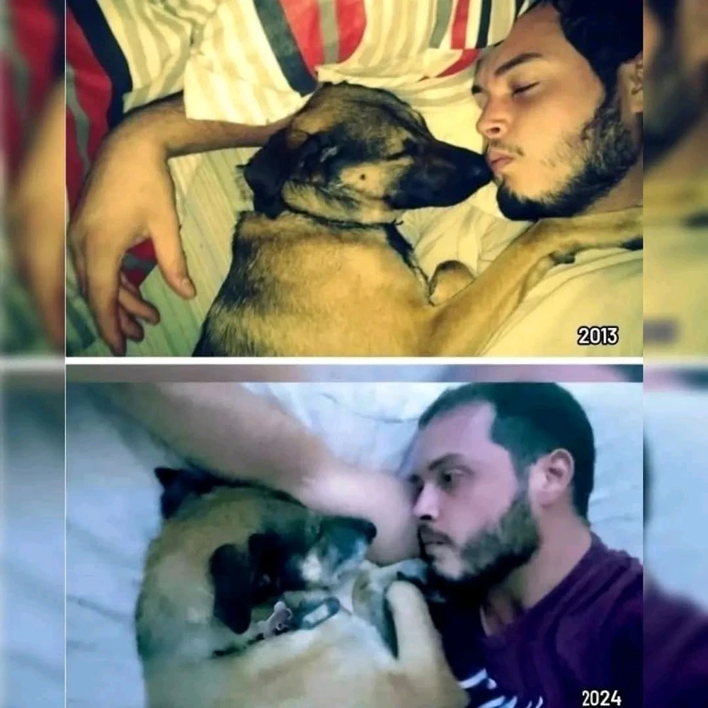 Imagen subida por Miguel