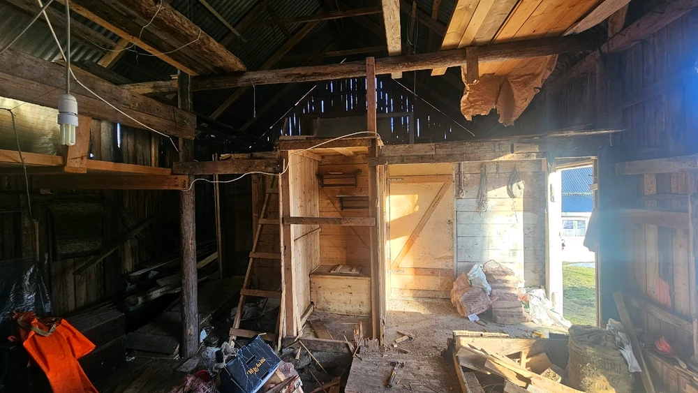 Image uploaded by Kirian