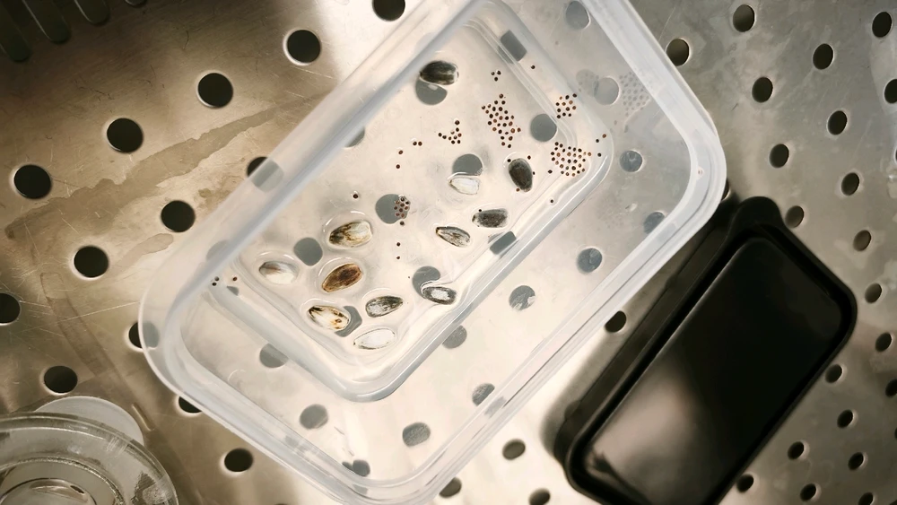 GIF nahrál Daniel B.