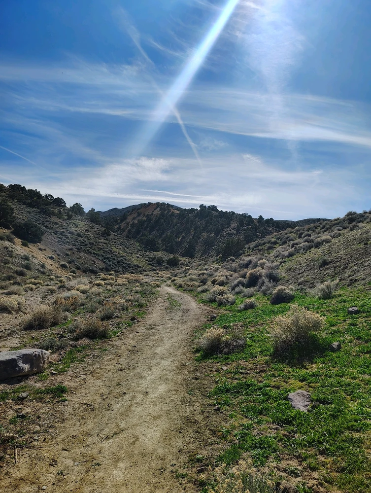 Image uploaded by Sweetz