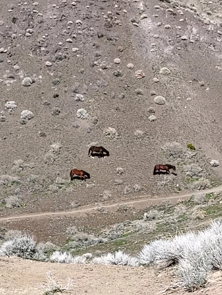 Image uploaded by Sweetz