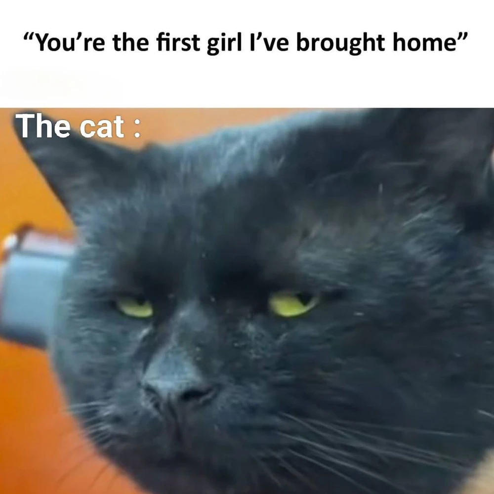 GIF uploaded by Ubaid