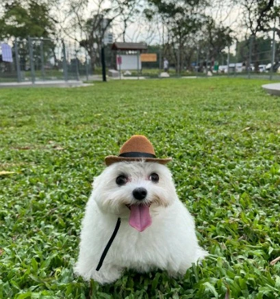GIF subido por Dani
