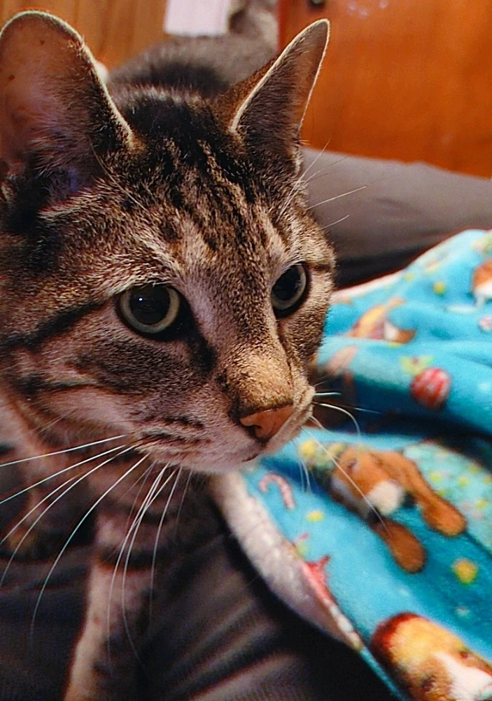 GIF uploaded by Marie