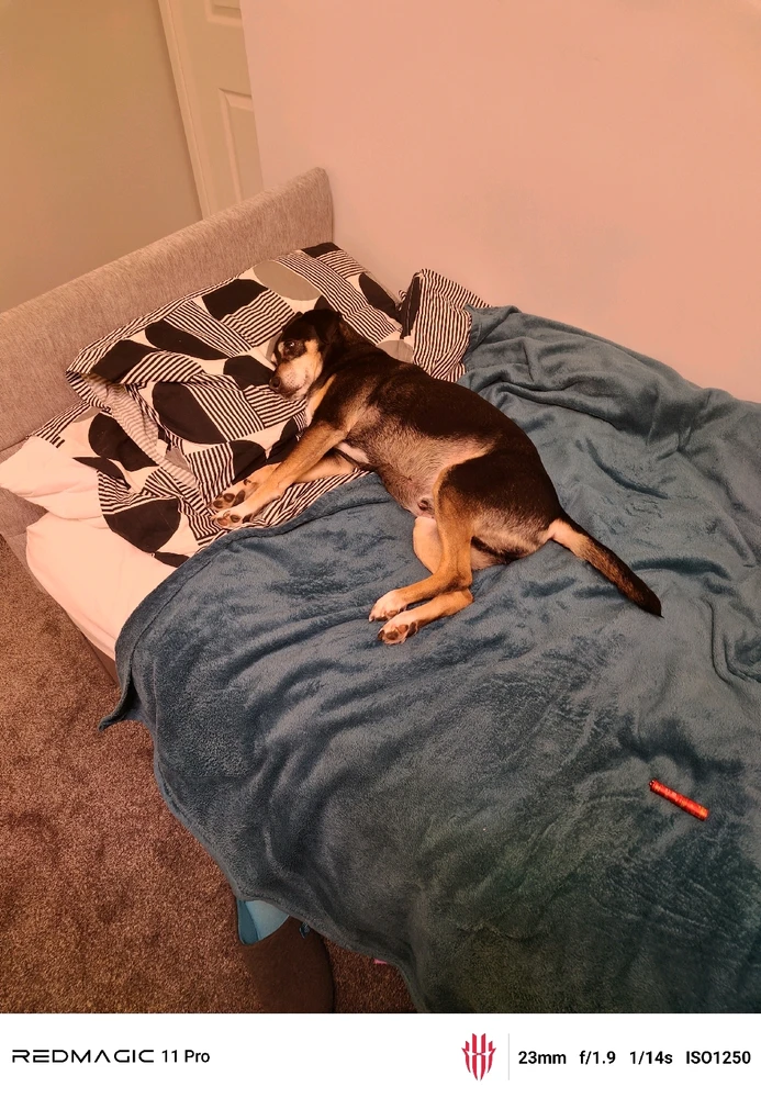 GIF uploaded by lewis goodwin