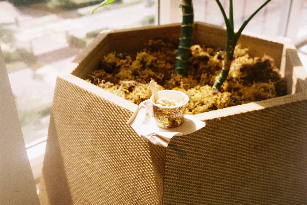 Image uploaded by John