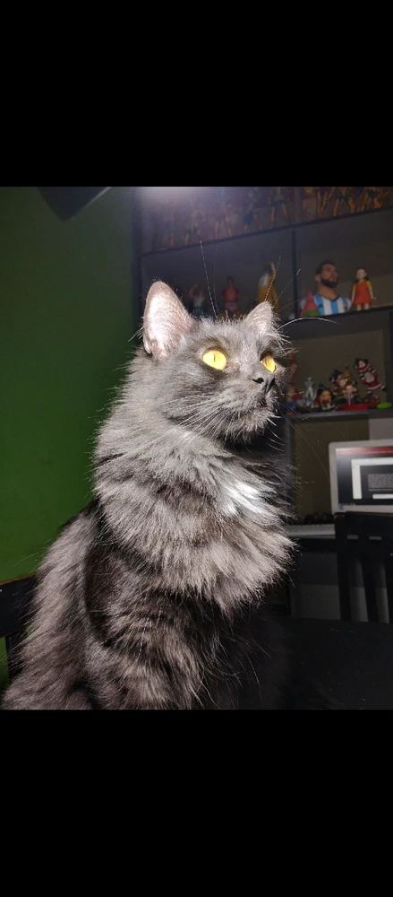 GIF uploaded by Leroy