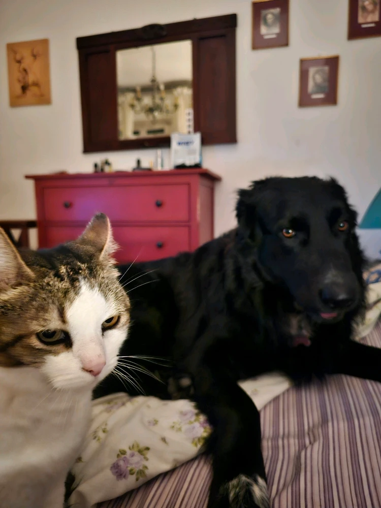 Immagine caricata da Neri