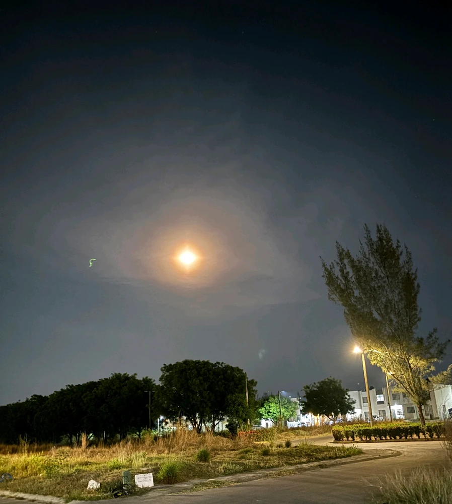 GIF uploaded by Barbara