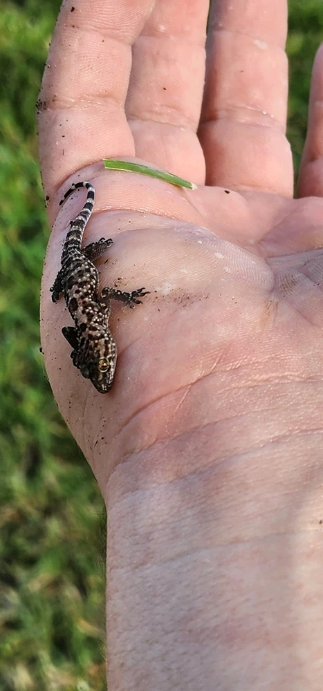 Image uploaded by Aiden