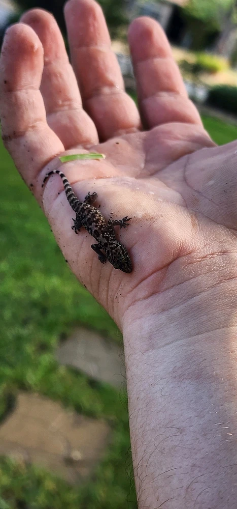 Image uploaded by Aiden