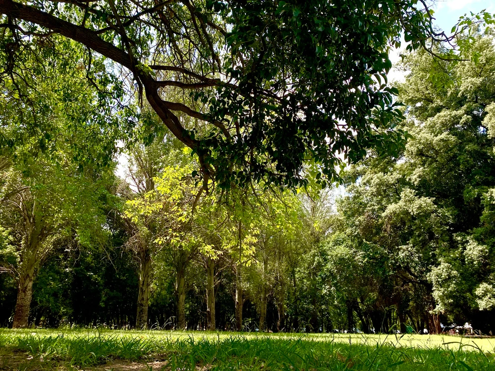 Imagen subida por Jimena