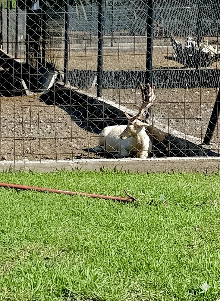 Imagen subida por Jimena