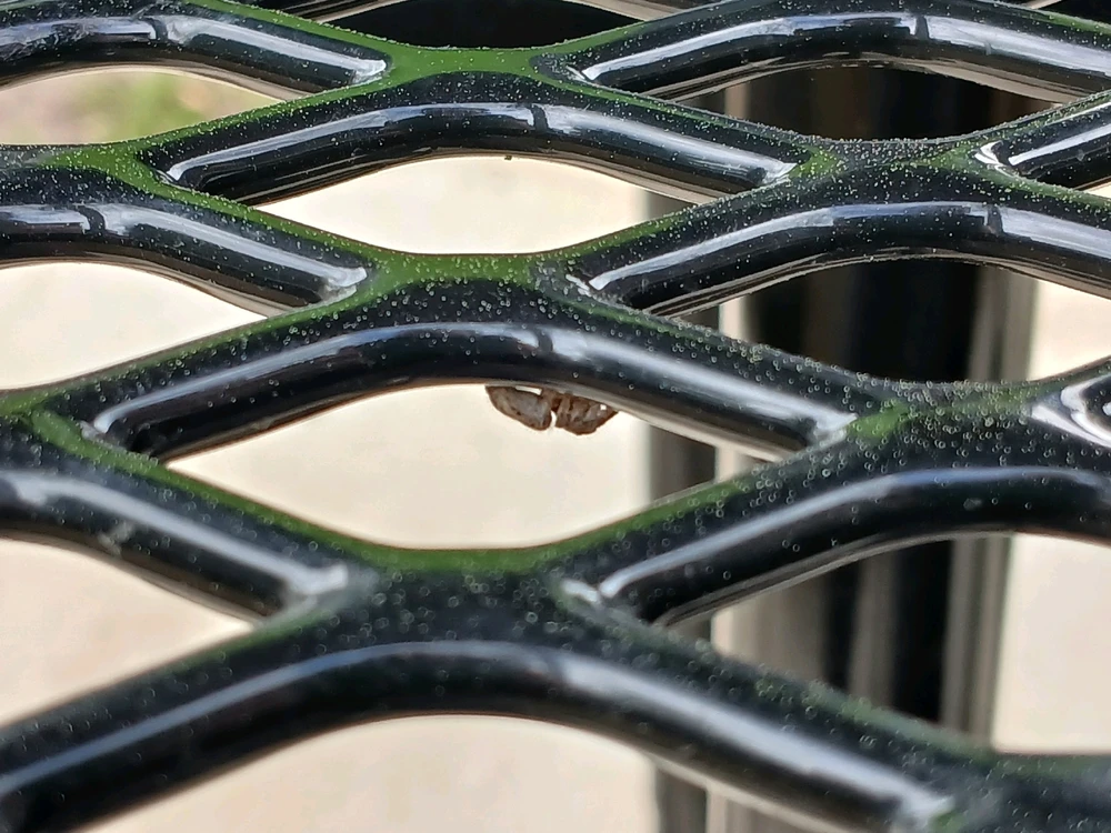 Image uploaded by Dillon