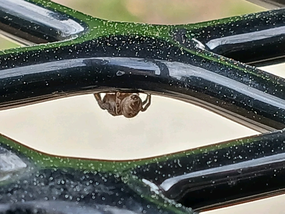 Image uploaded by Dillon