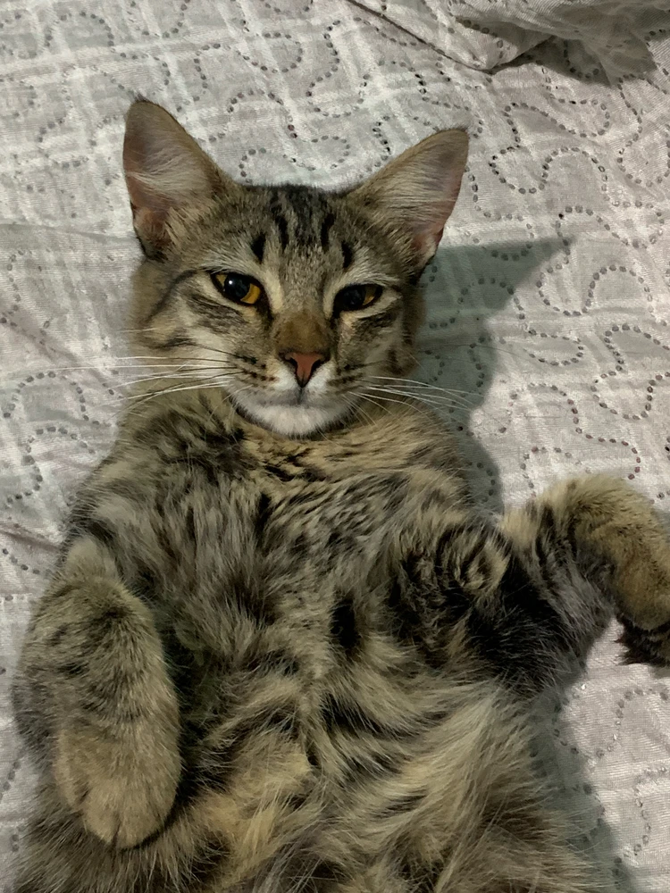 GIF enviado por Tomura