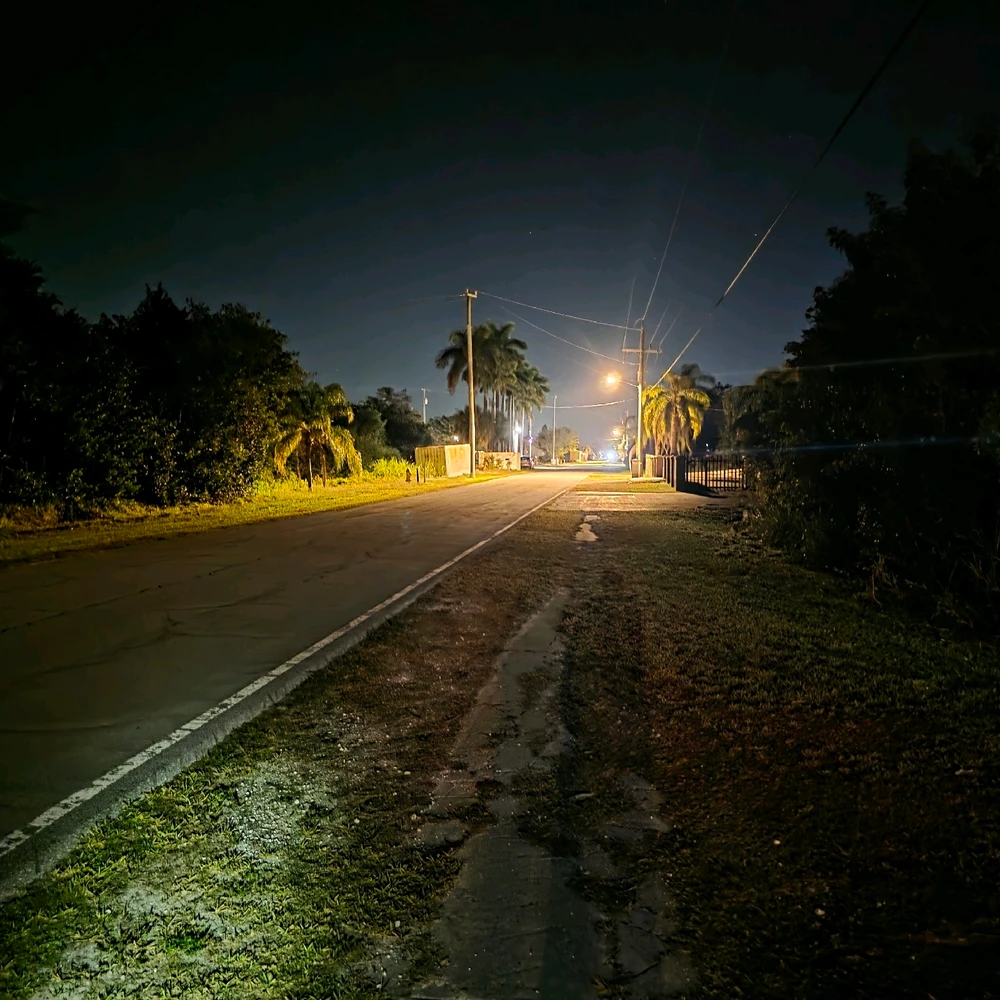Image uploaded by Leland