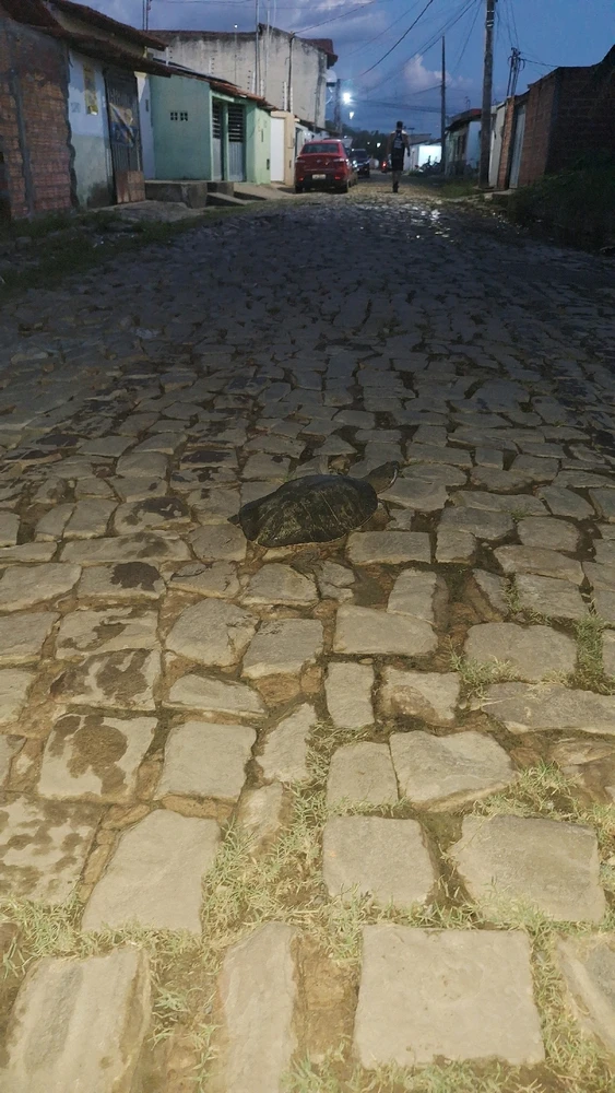 Image uploaded by Maria