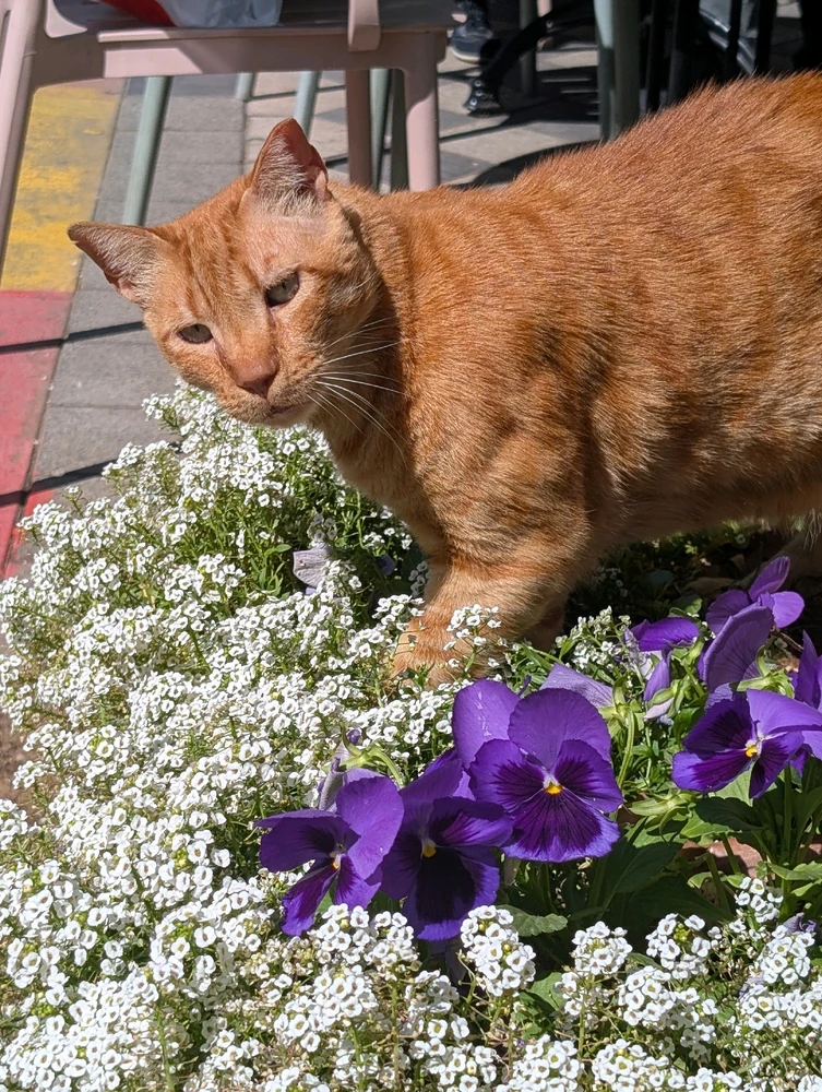 GIF uploaded by Aviv