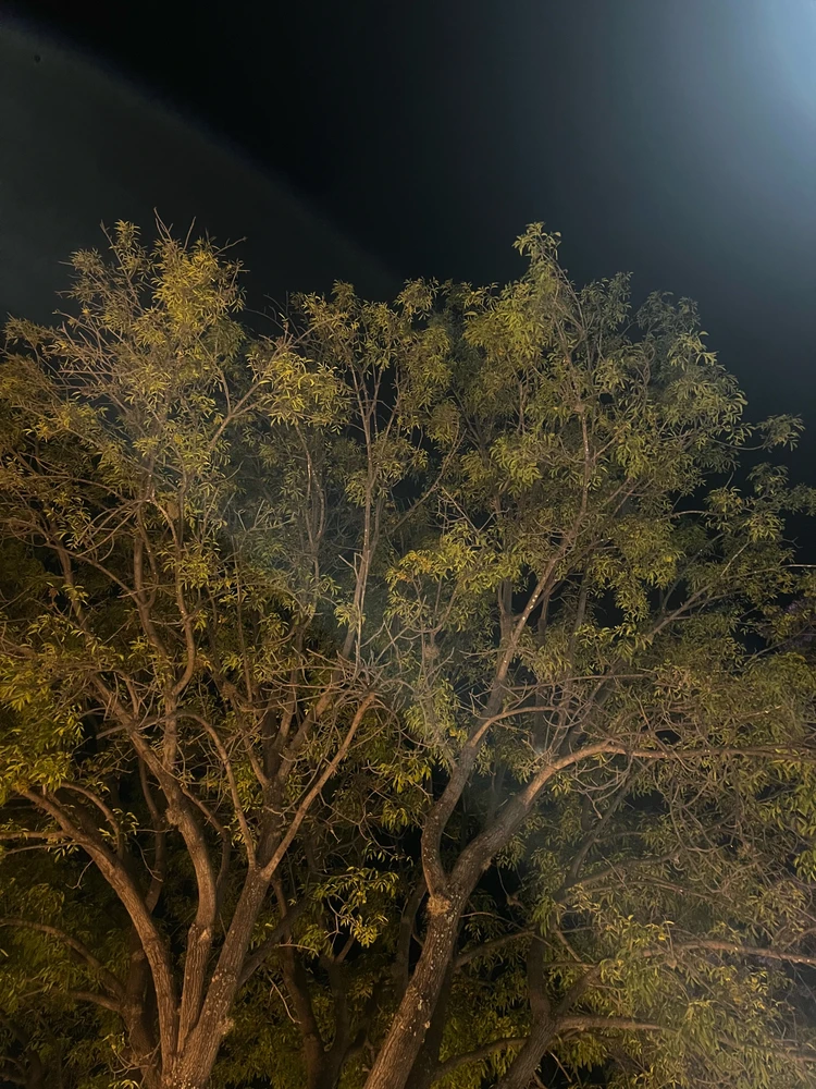 GIF subido por Andreew Castillo