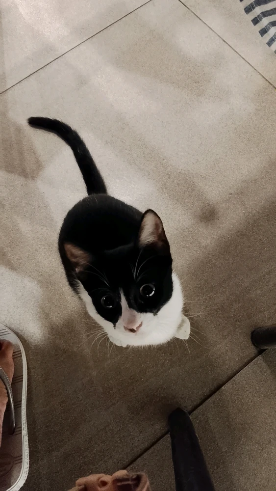 GIF uploaded by Abby