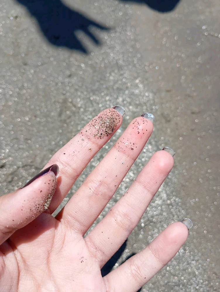 GIF uploaded by Sophie