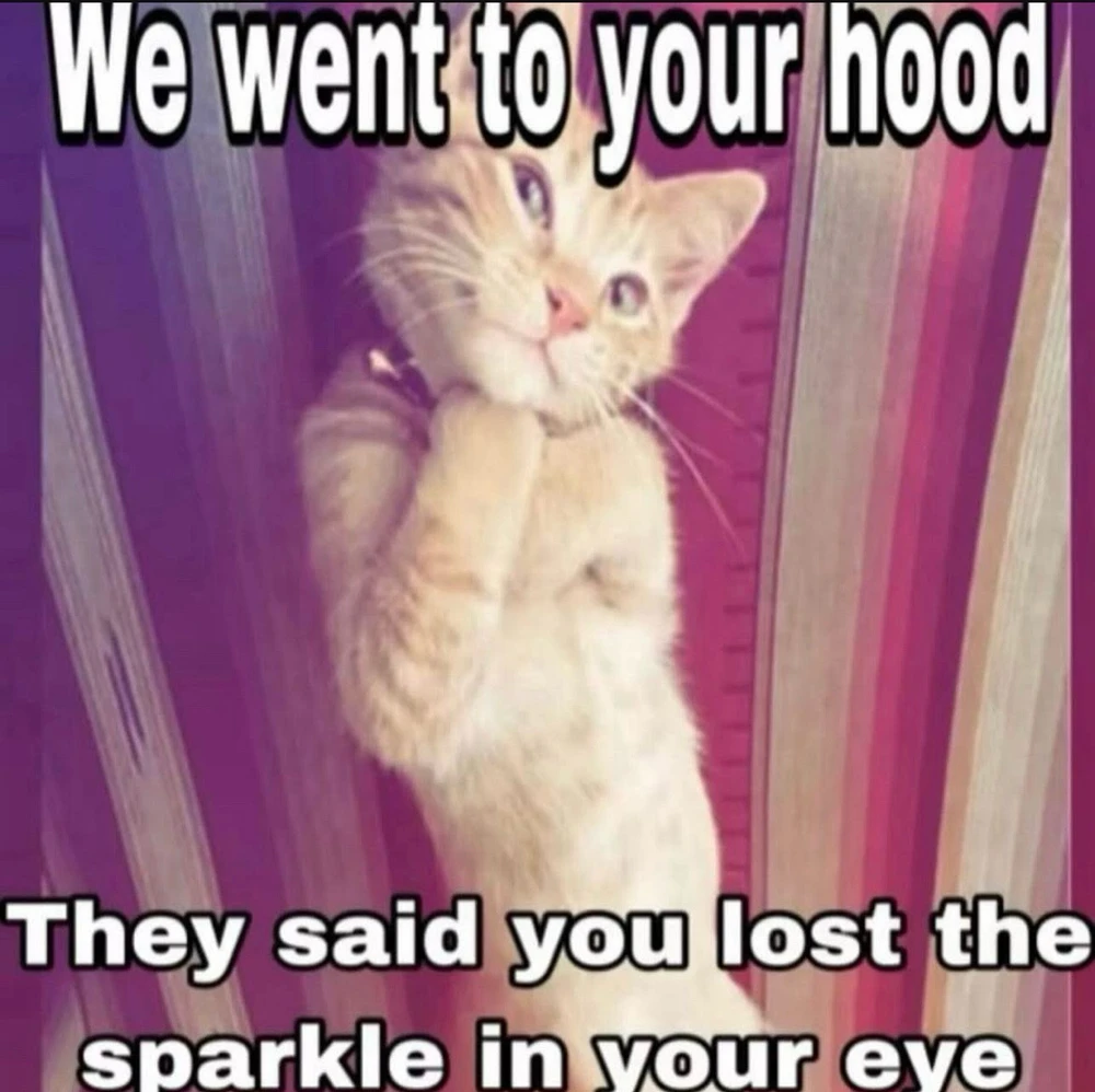 GIF uploaded by Raza