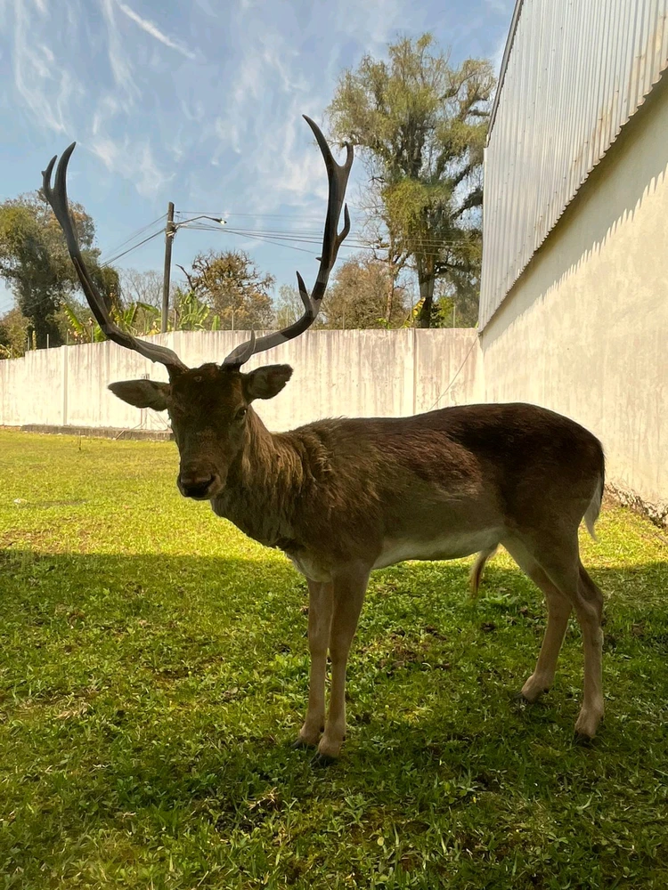 Imagen subida por Armheria