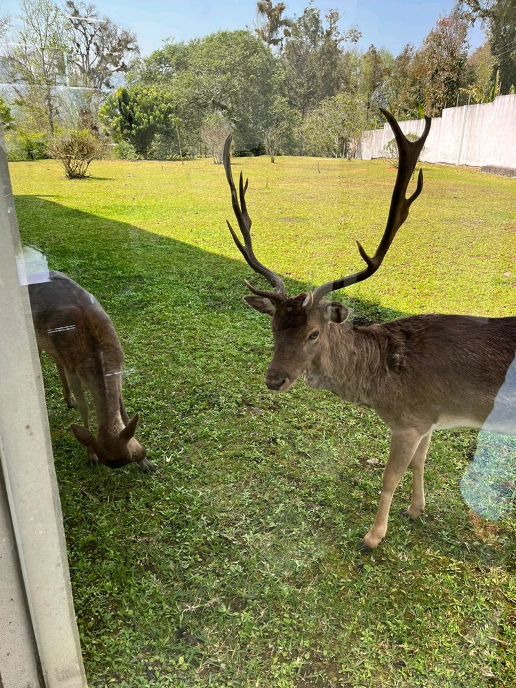 Imagen subida por Armheria