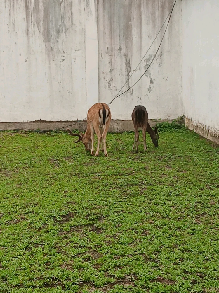 Imagen subida por Armheria